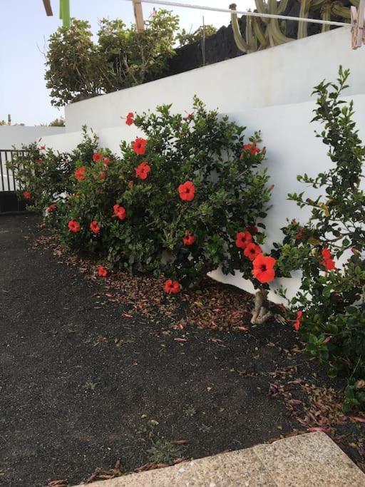 Holiday home Perle Des Meeres Charco del Palo